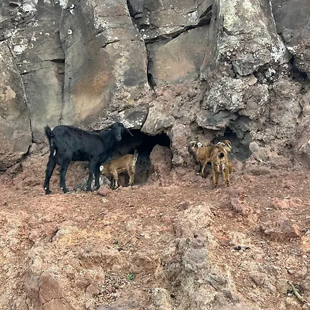 Apartman Brisa Y Marea