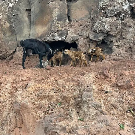 Brisa Y Marea Apartman *